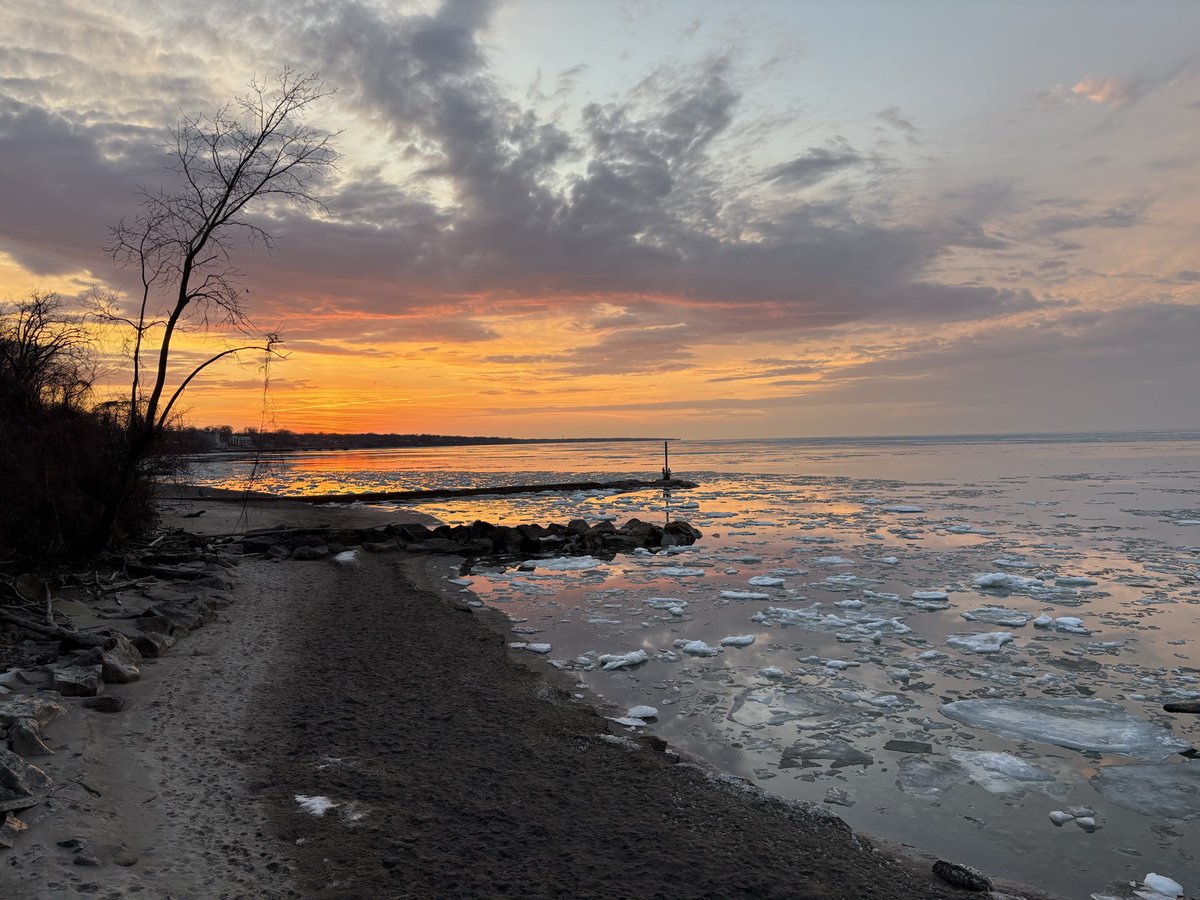 Adham Schirg tweet media