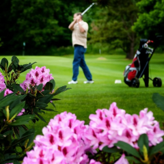 PennerC19040's tweet image. Penner Group Properties Newsletter and Activities Planner - Mar 6-13, 2026

FORE!! Watch out for all the action this week!

mailchi.mp/pennergrouppro…

#PennerGroupProperties #StakeYourClaim #PortlandWeekendPlanner #PortlandRealtor #MovingToPortland #Portland