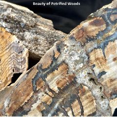 PennerC19040's tweet image. Penner Group Properties Newsletter and Activities Planner - Mar 6-13, 2026

FORE!! Watch out for all the action this week!

mailchi.mp/pennergrouppro…

#PennerGroupProperties #StakeYourClaim #PortlandWeekendPlanner #PortlandRealtor #MovingToPortland #Portland