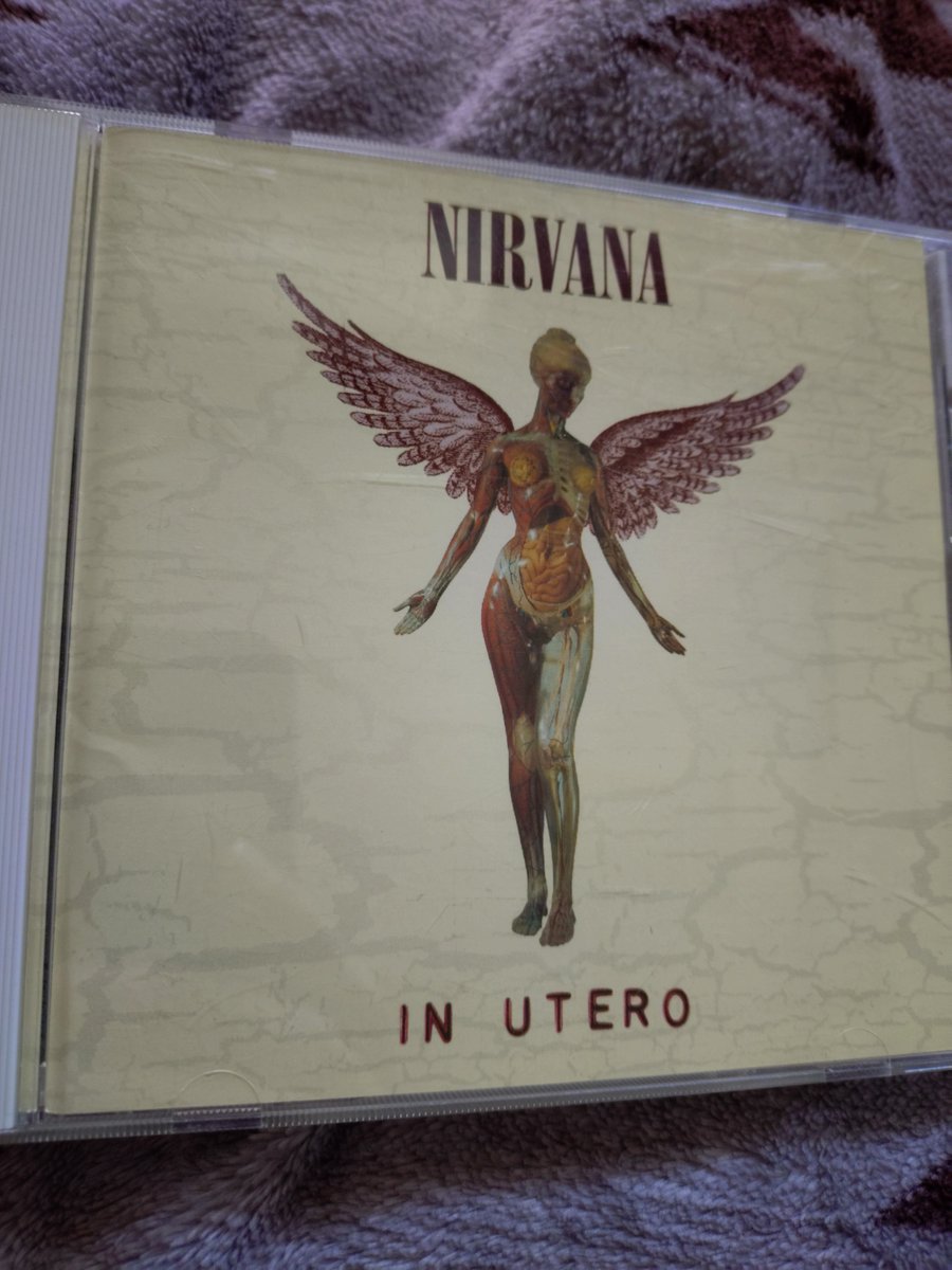 Nirvana
In Utero