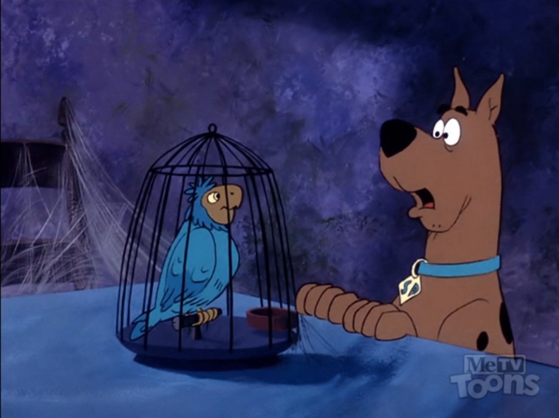 wiley207's tweet image. Heh, I was half-expecting the parrot to say "Geez, where'd you dig this bozo up?" I guess that's what happens when you've been making YouTube Poops for 17 1/2 years! #MeTVToons