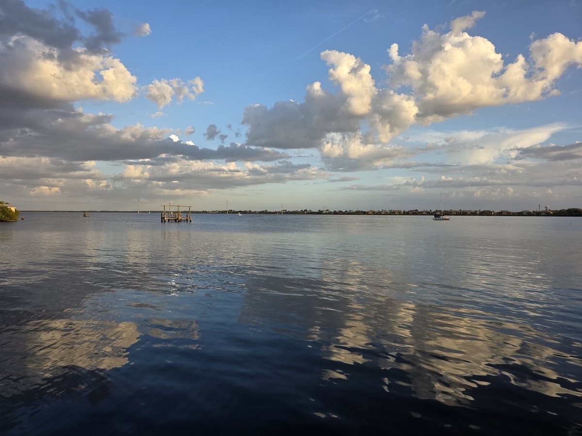 📍Manatee River #ThisIsFlorida 💙