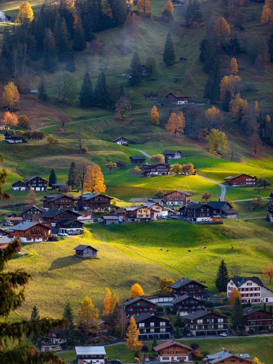 earthcurated's tweet photo. Nature’s beauty in its purest form https://t.co/20G3gjWqRE