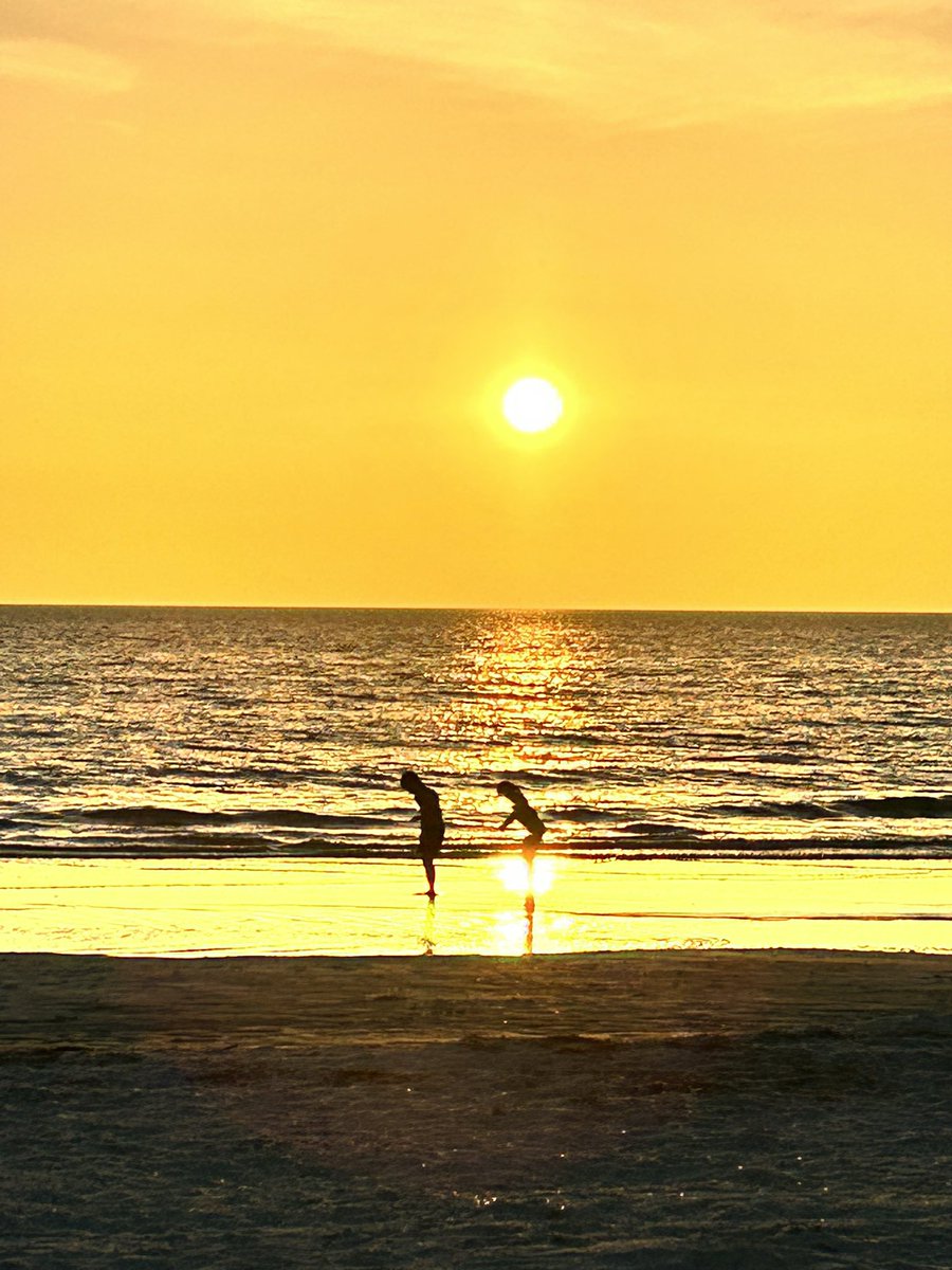 Geoff McLean 🇨🇦 🇳🇱 tweet media