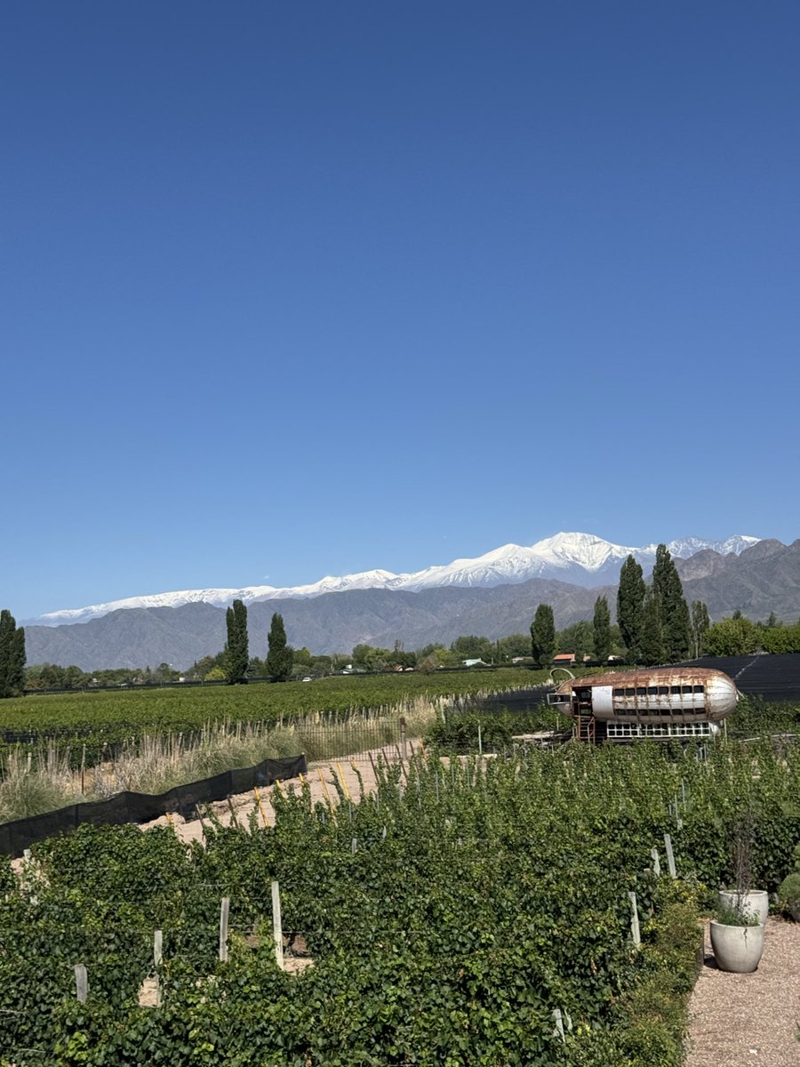 Sergei Vorobev tweet media