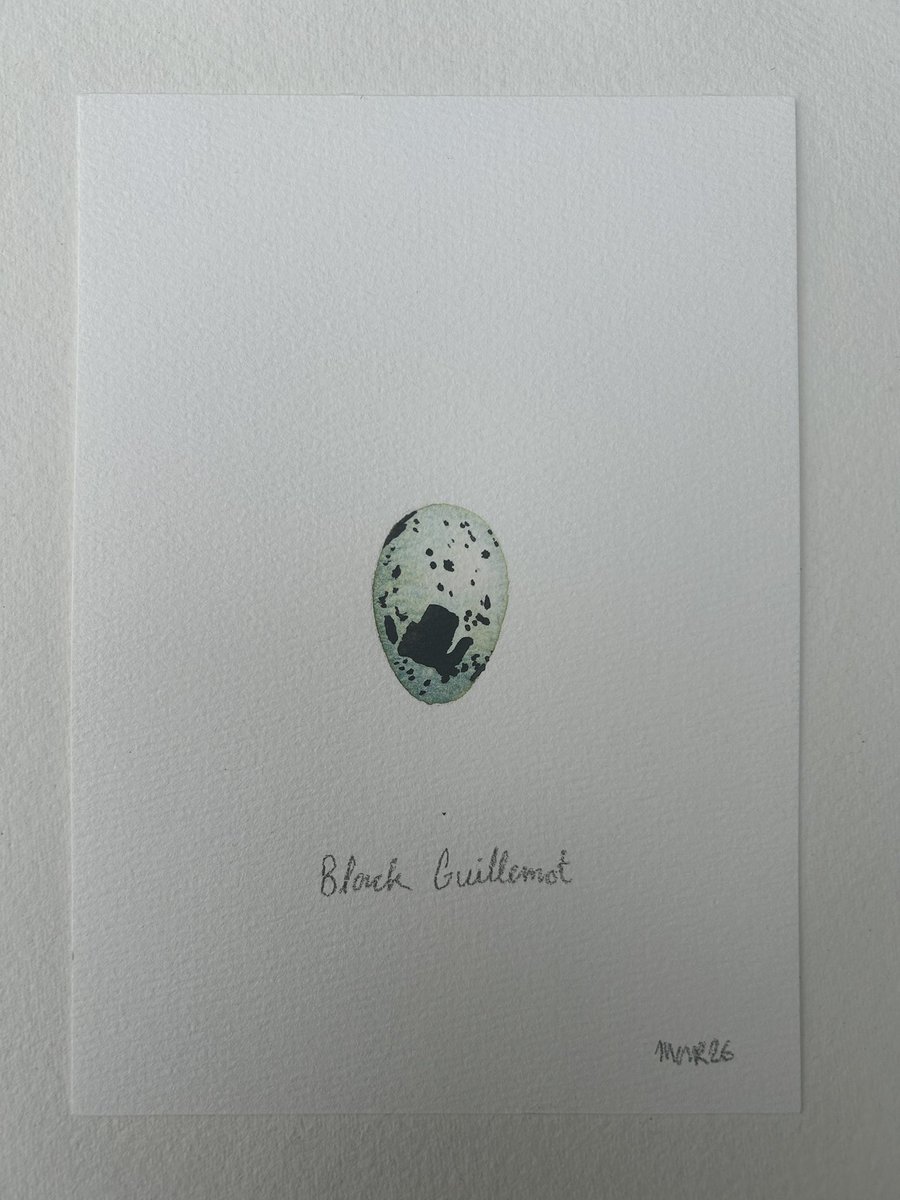 Jim Moir tweet media