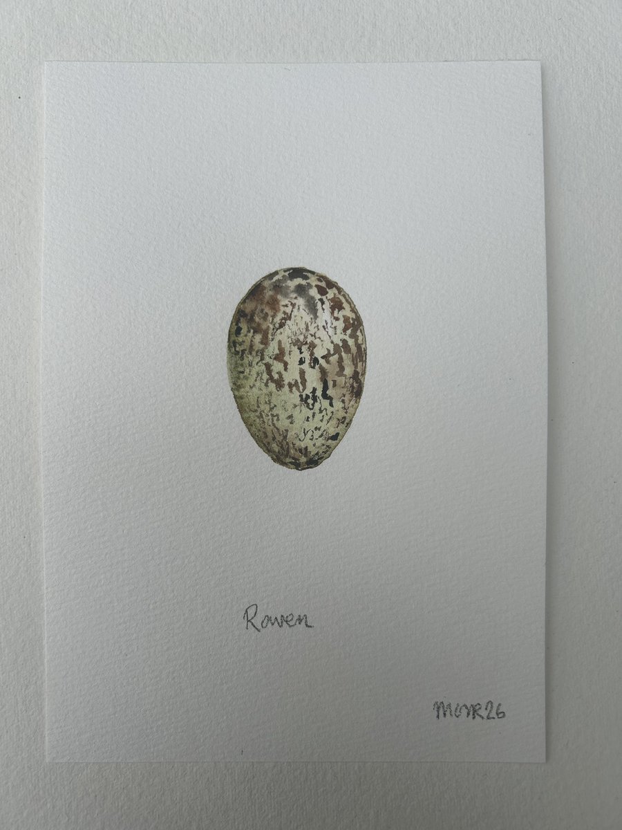 Jim Moir tweet media