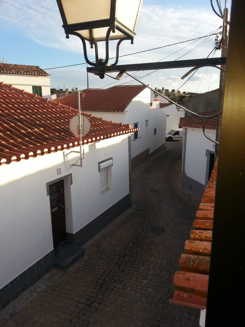 Panadería Funchal tweet media