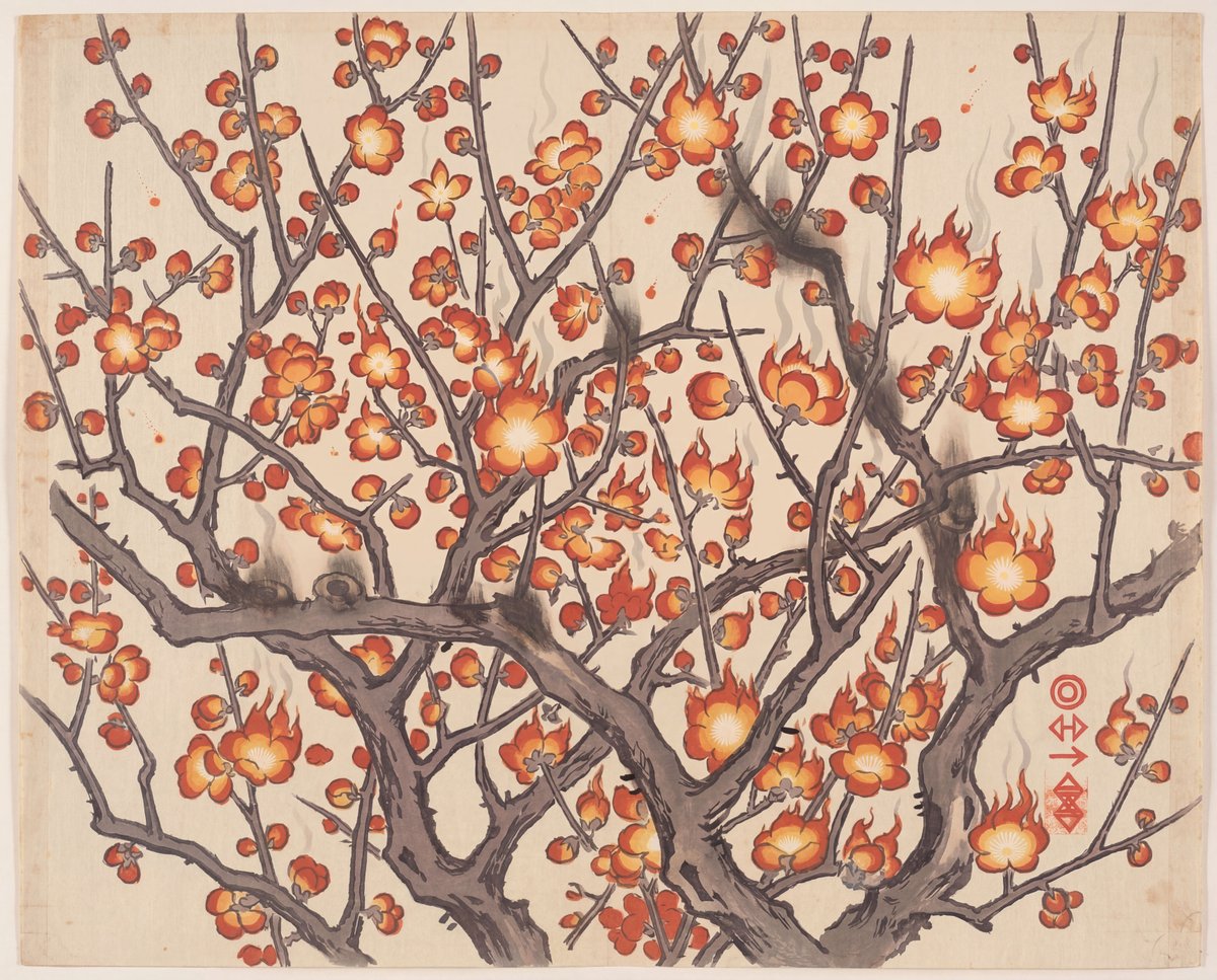 ✨ (@feed_sam) on Twitter photo 