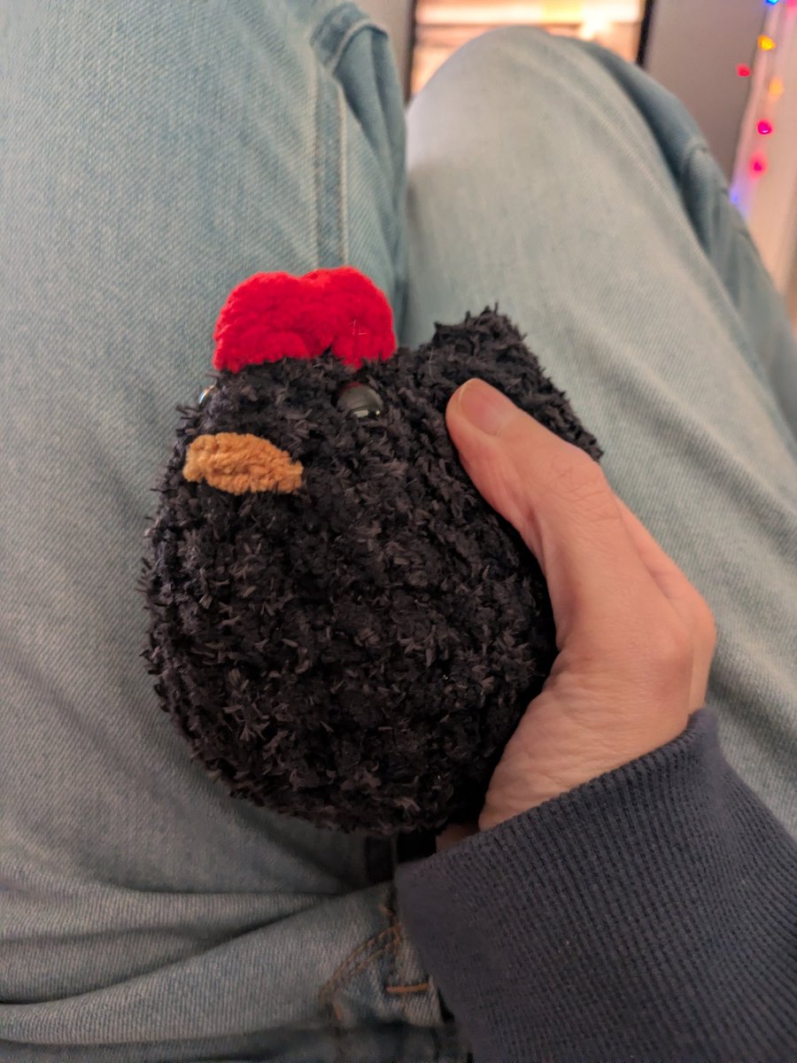 Patricia Correll tweet media