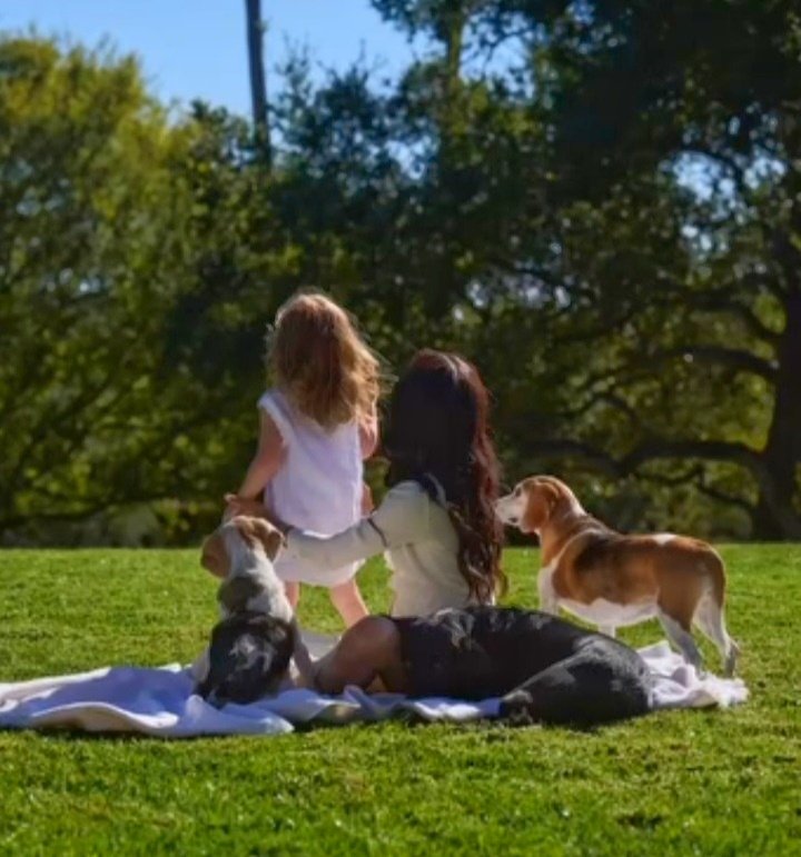 Butterflies Fly again after the rain tweet media