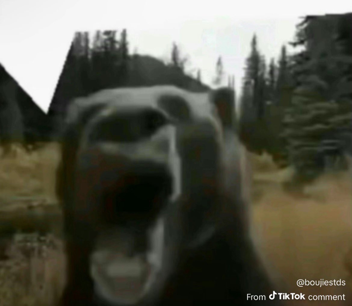 JTolerance tweet media