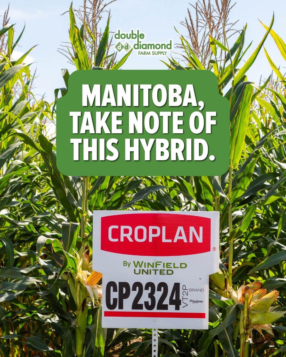 Double Diamond tweet media