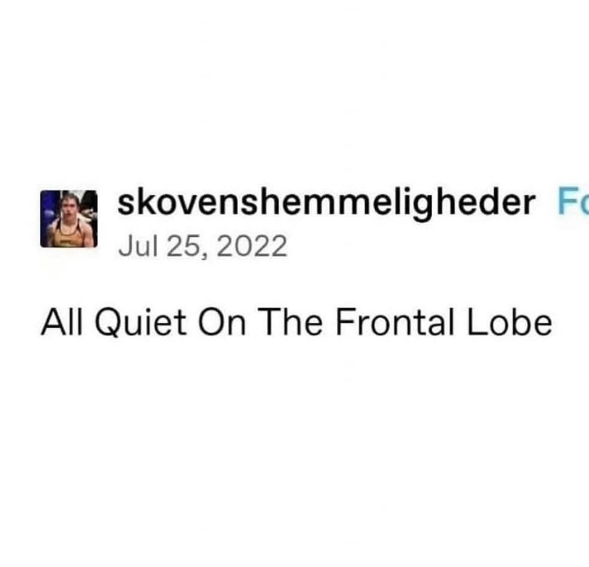 ₊˚❀༉‧₊˚ tweet media