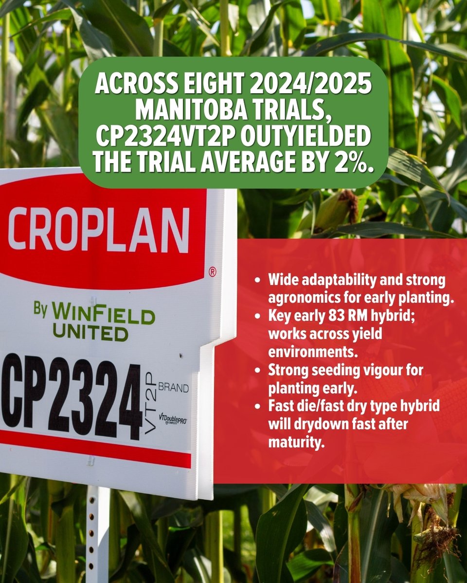 Double Diamond tweet media