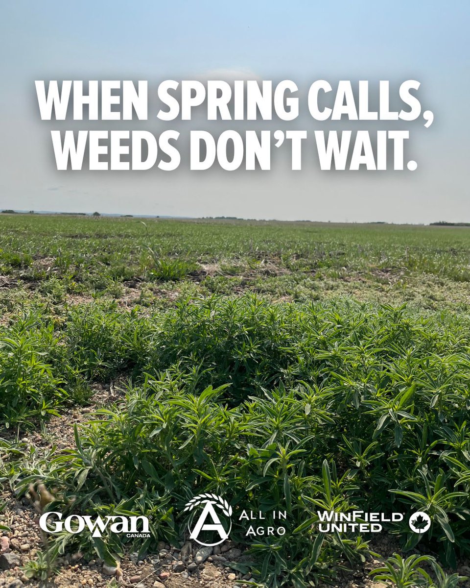 All In Agro tweet media