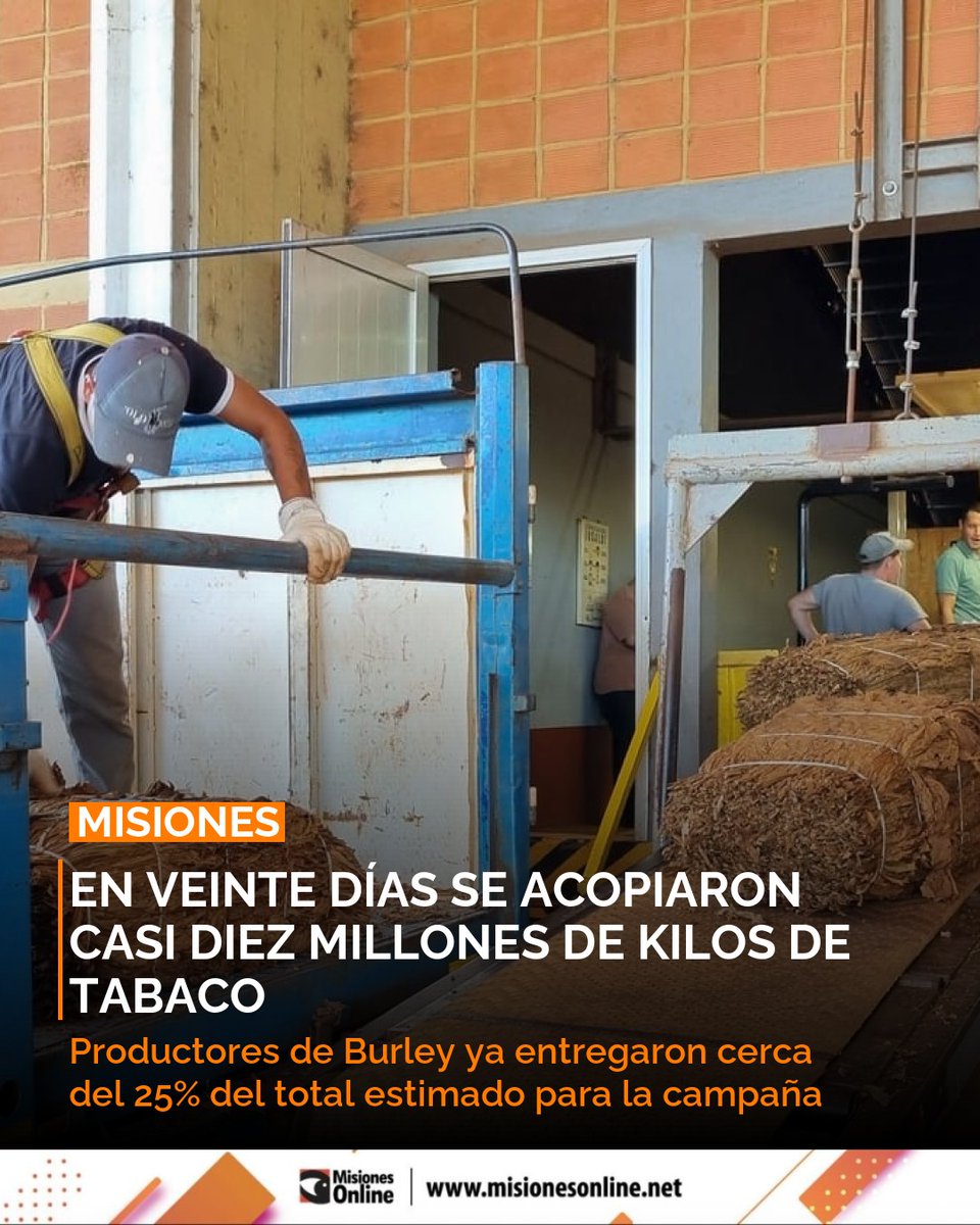misionesonline's tweet image. Casi 10 millones de kilos de tabaco 📦 acopiados en 20 días. Productores de Burley ya entregaron el 25% del total estimado para la campaña.
misionesonline.net/2026/03/06/en-…
#Tabaco #Produccion