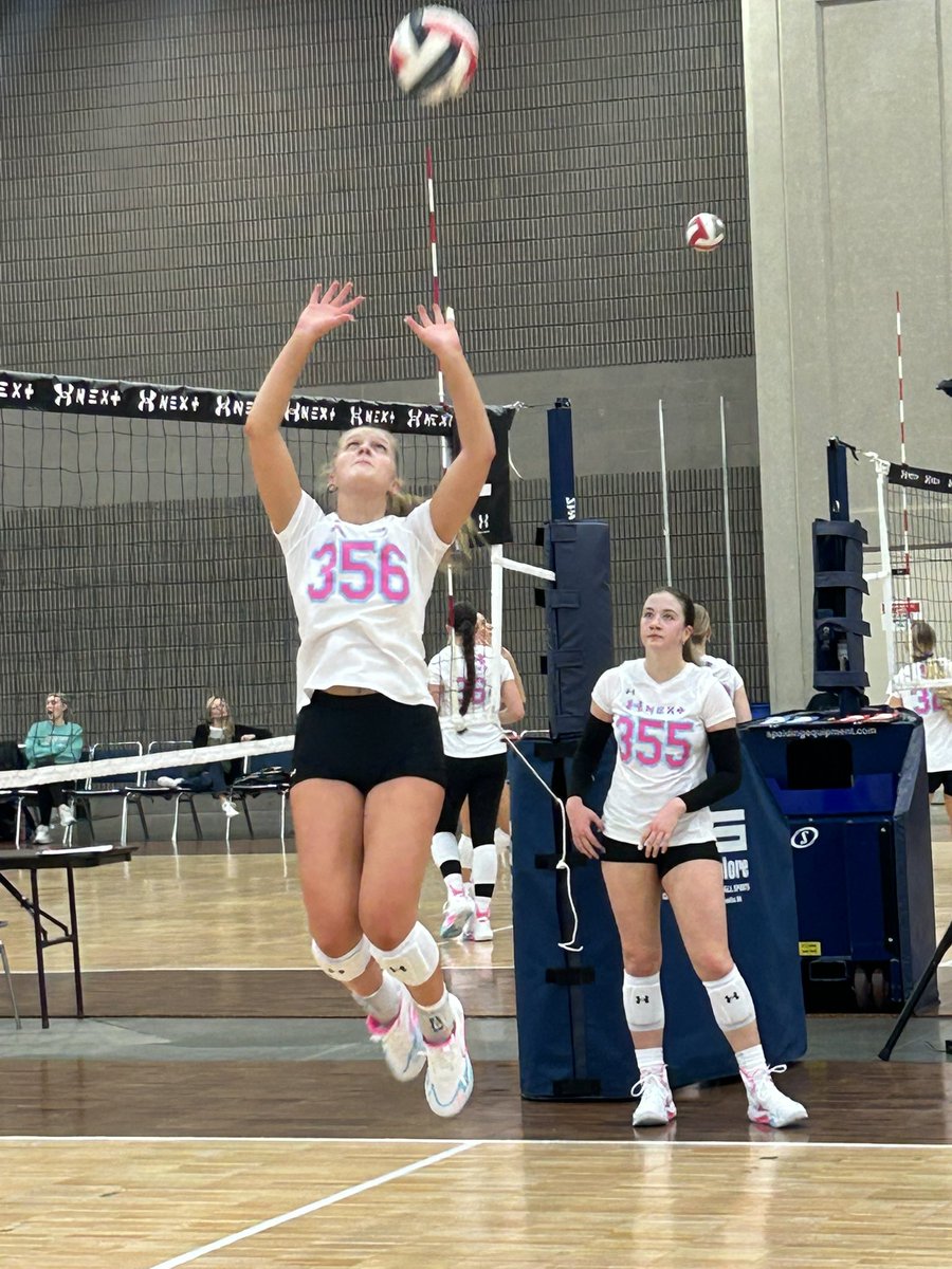 Amelia Lamberti tweet media