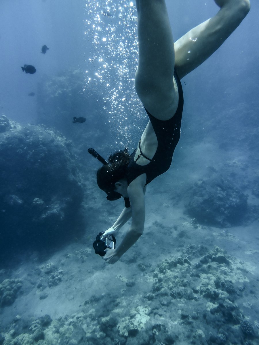 FS Resorts Lāna‘i tweet media