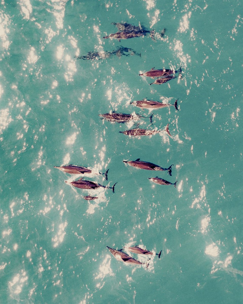 FS Resorts Lāna‘i tweet media