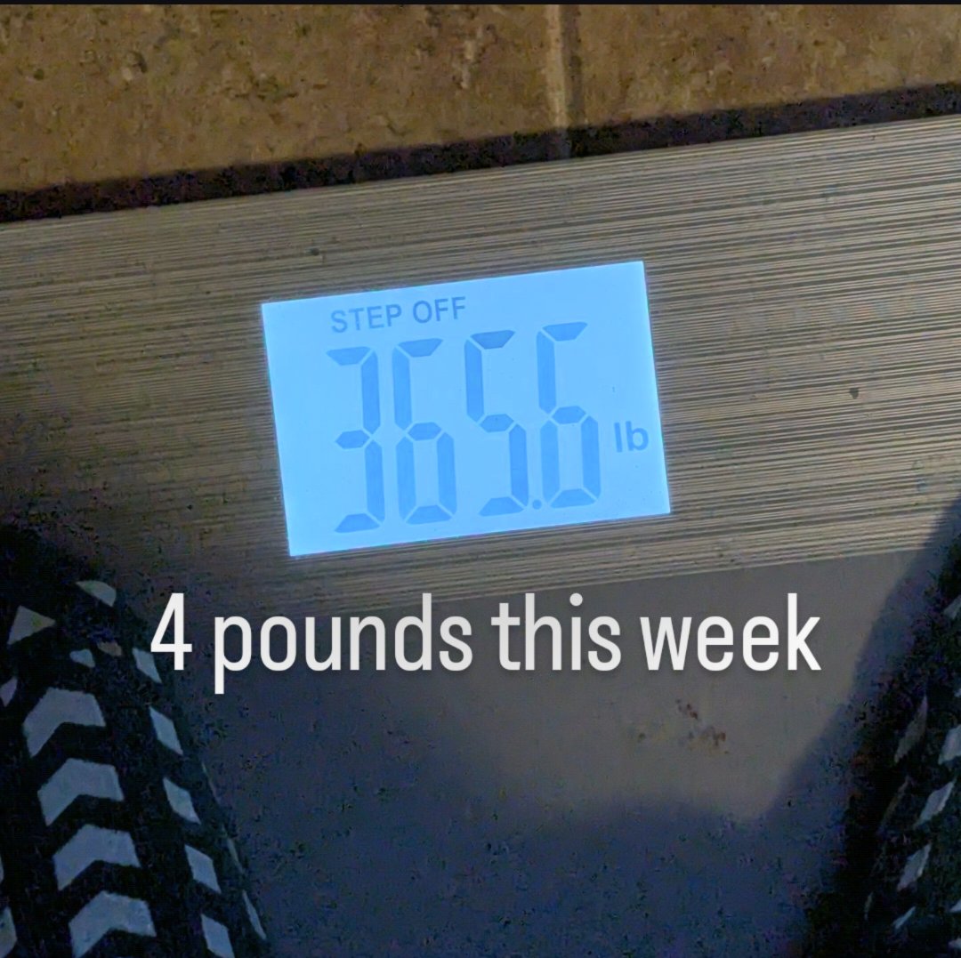 Adam B. Carlson tweet media