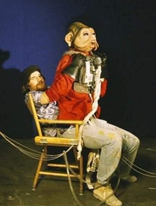 Elijah the Middleborne tweet media