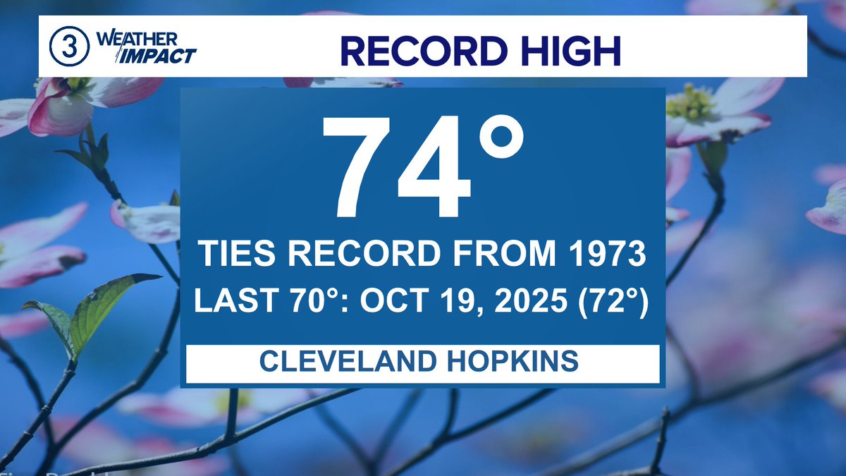 The REAL Mark Johnson tweet media