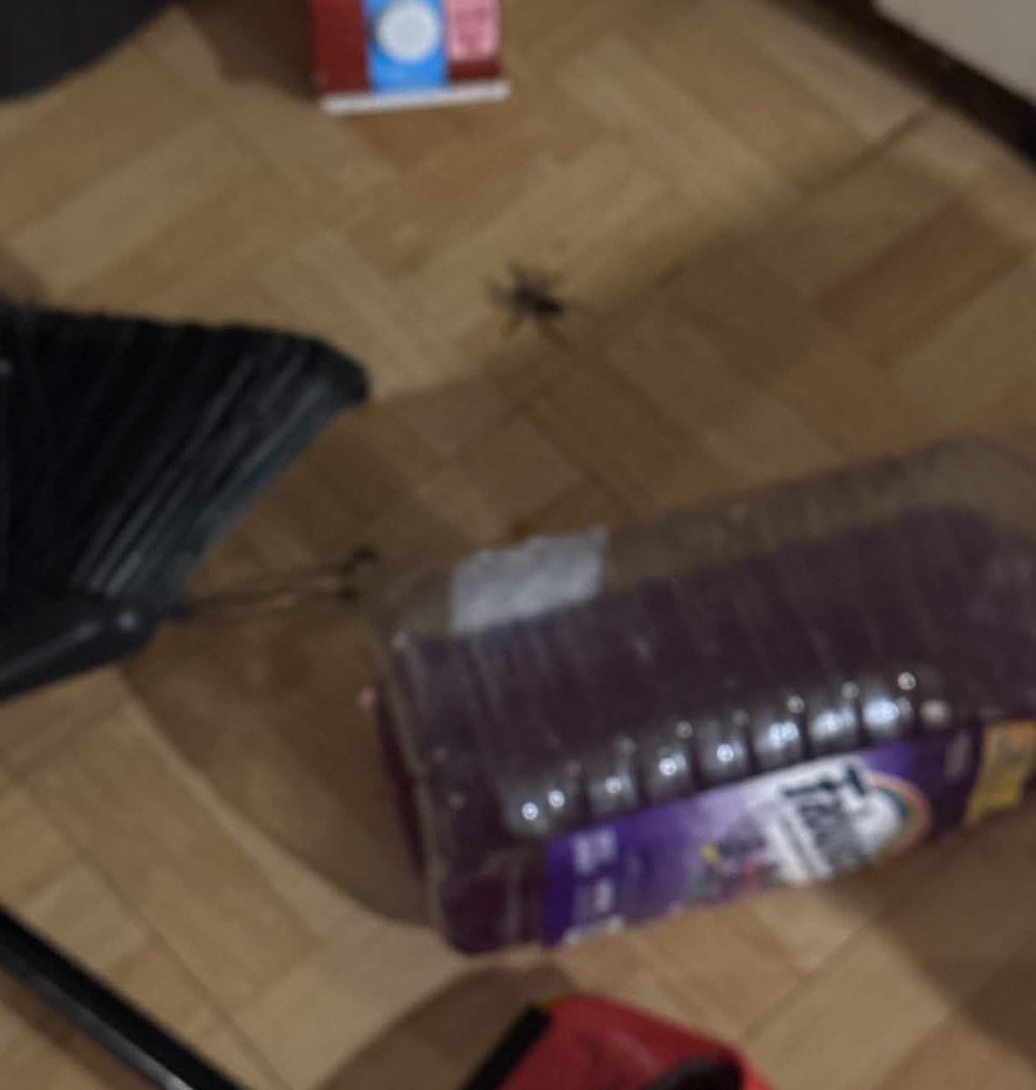 7TH YEAR: tubatu supporter 𖣂 tweet media