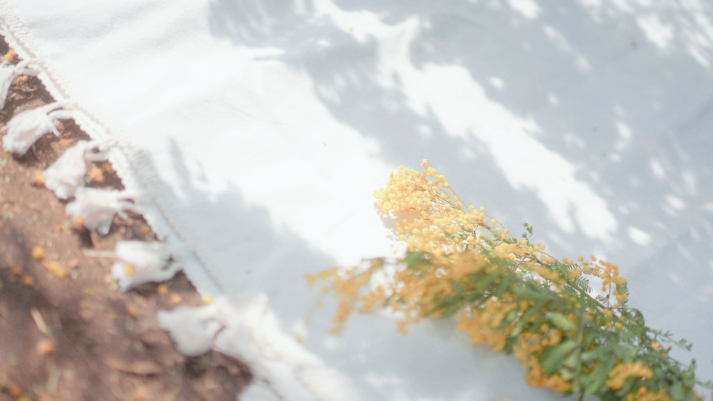 彩川 菜々ฅ'' tweet media