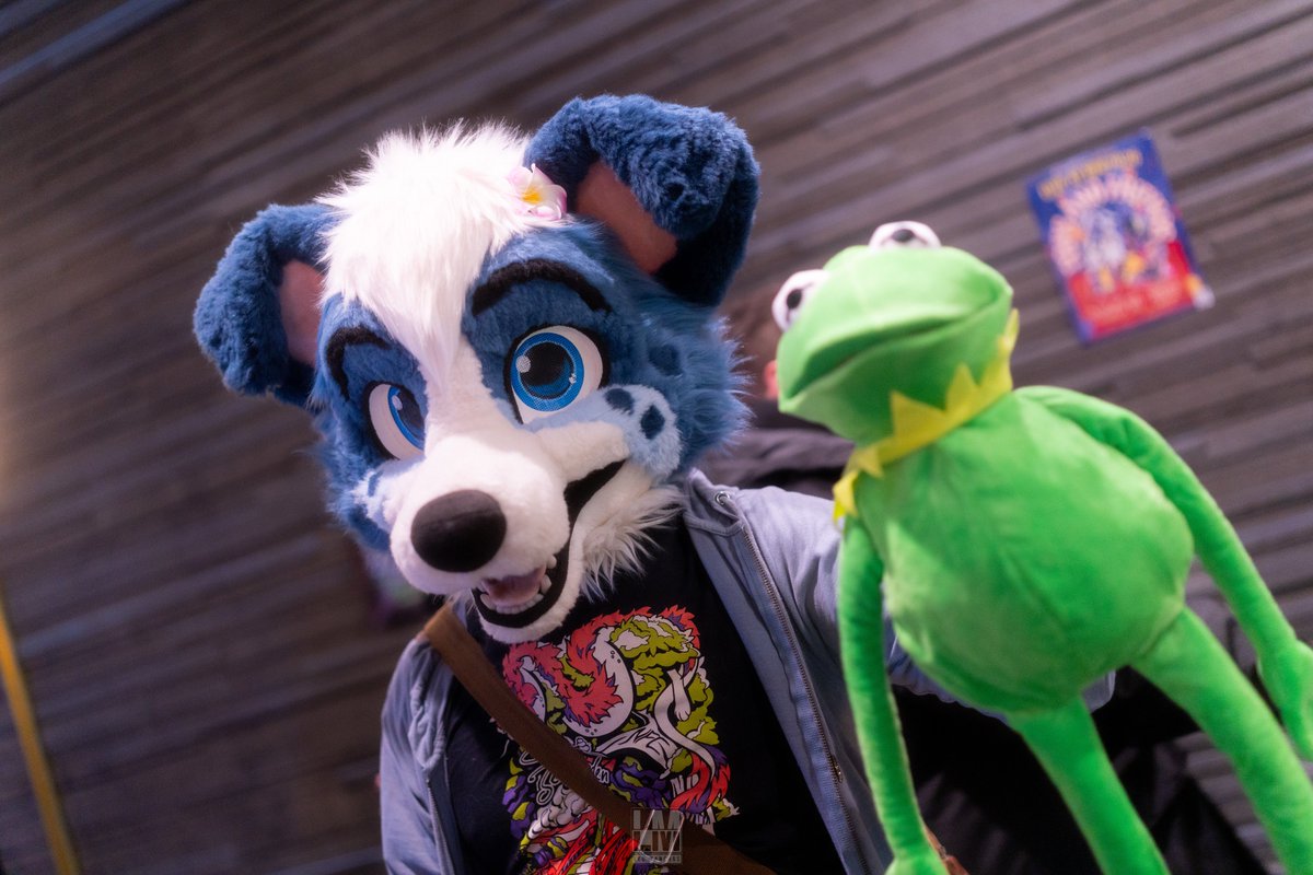 him has a funny-looking frog this #fursuitfriday!

Photo: <a href="/ManchasLeo/">Leo Manchas~</a>
