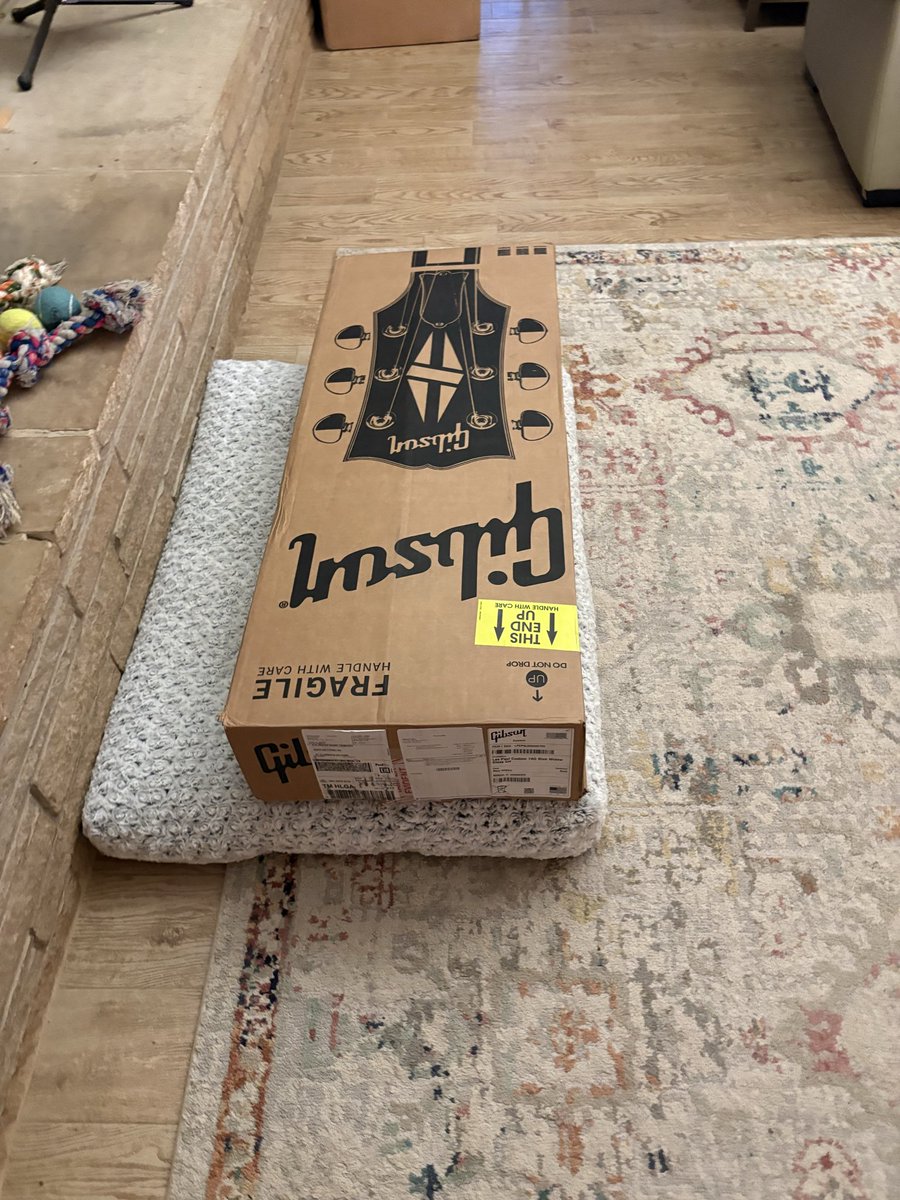 Rainman_68's tweet image. New Guitar Day, she had to sleep overnight. 😎