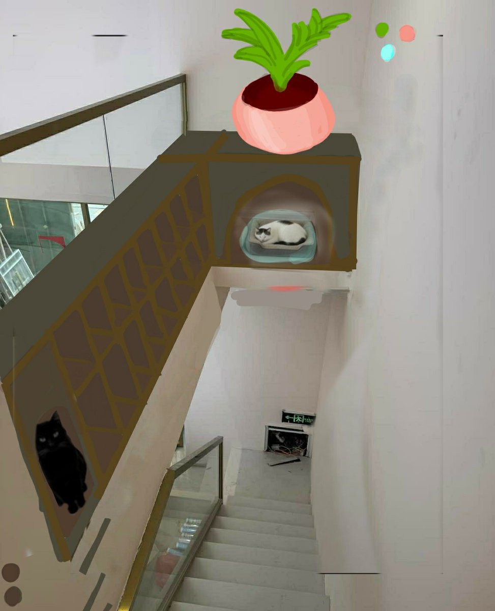 Roraigh Price tweet media