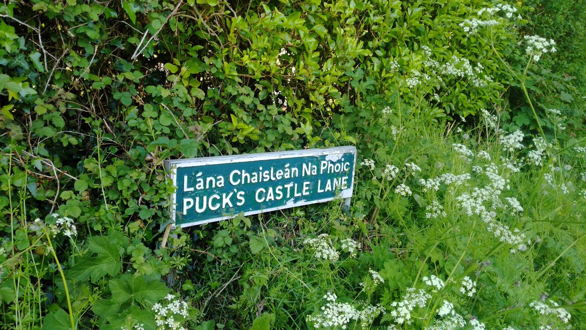 DaniElefantman's tweet photo. Letrero bilingüe, en irlandés e inglés, que identifica una calle. #irlanda #calle #letrero #vegetacion https://t.co/Z7SesbdBAi