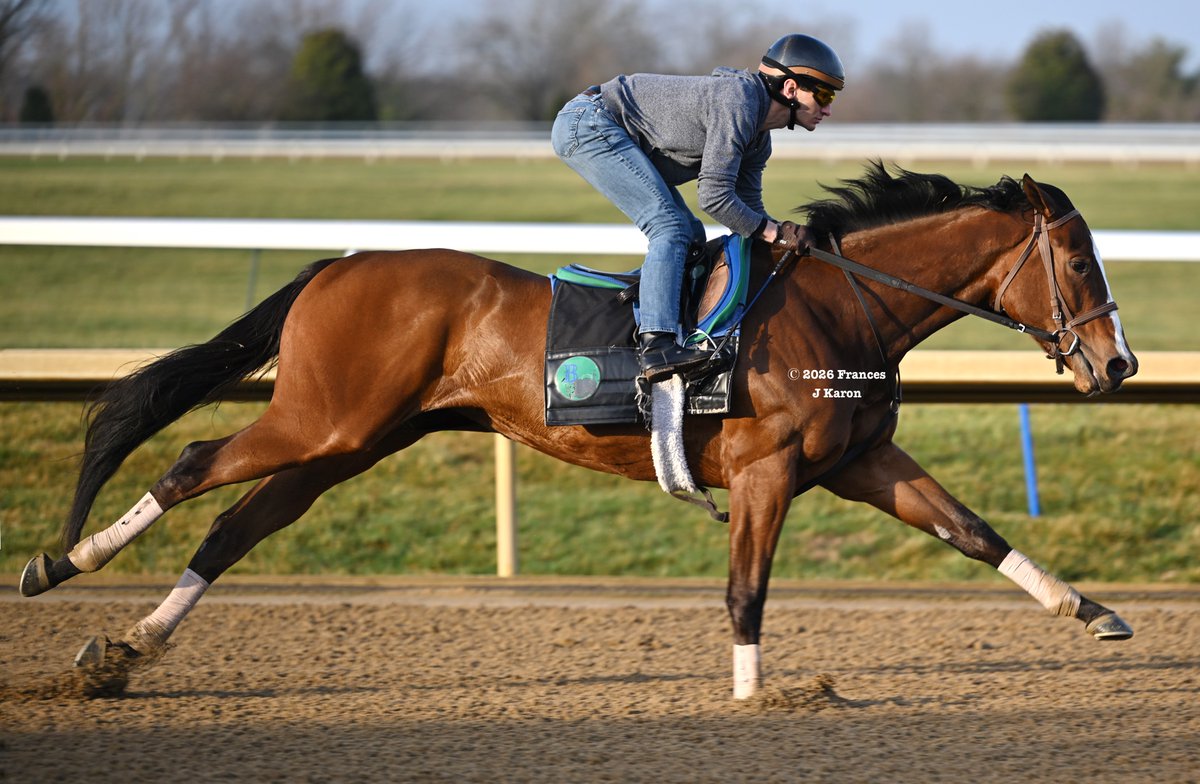 Frances J Karon tweet media