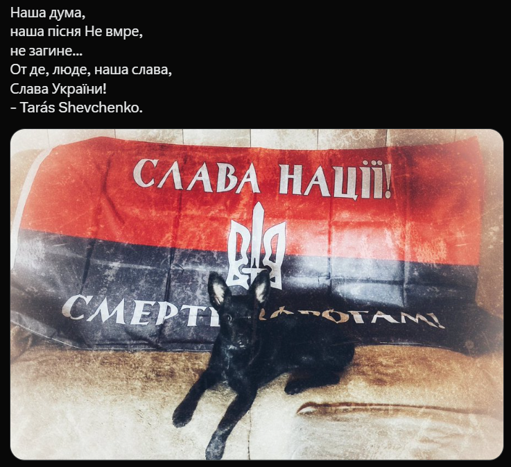 svoboda tweet media
