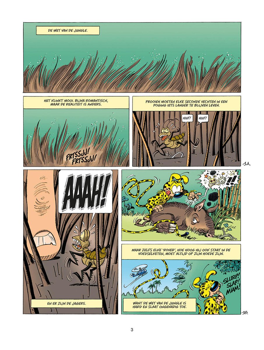 stripland_BENL's tweet photo. De Laatste Jacht, deel 35 van #Marsupilami, verschijnt deze week bij #Dupuis. Ondanks de doorlopende nummering een zachte herstart dus, zonder instap-drempel en door nieuwe scenaristen. Wie vangt het beest in de jungle van Palombië? #KidToussaint #Ced #Batem #Robbedoes https://t.co/OslXE1m3X0