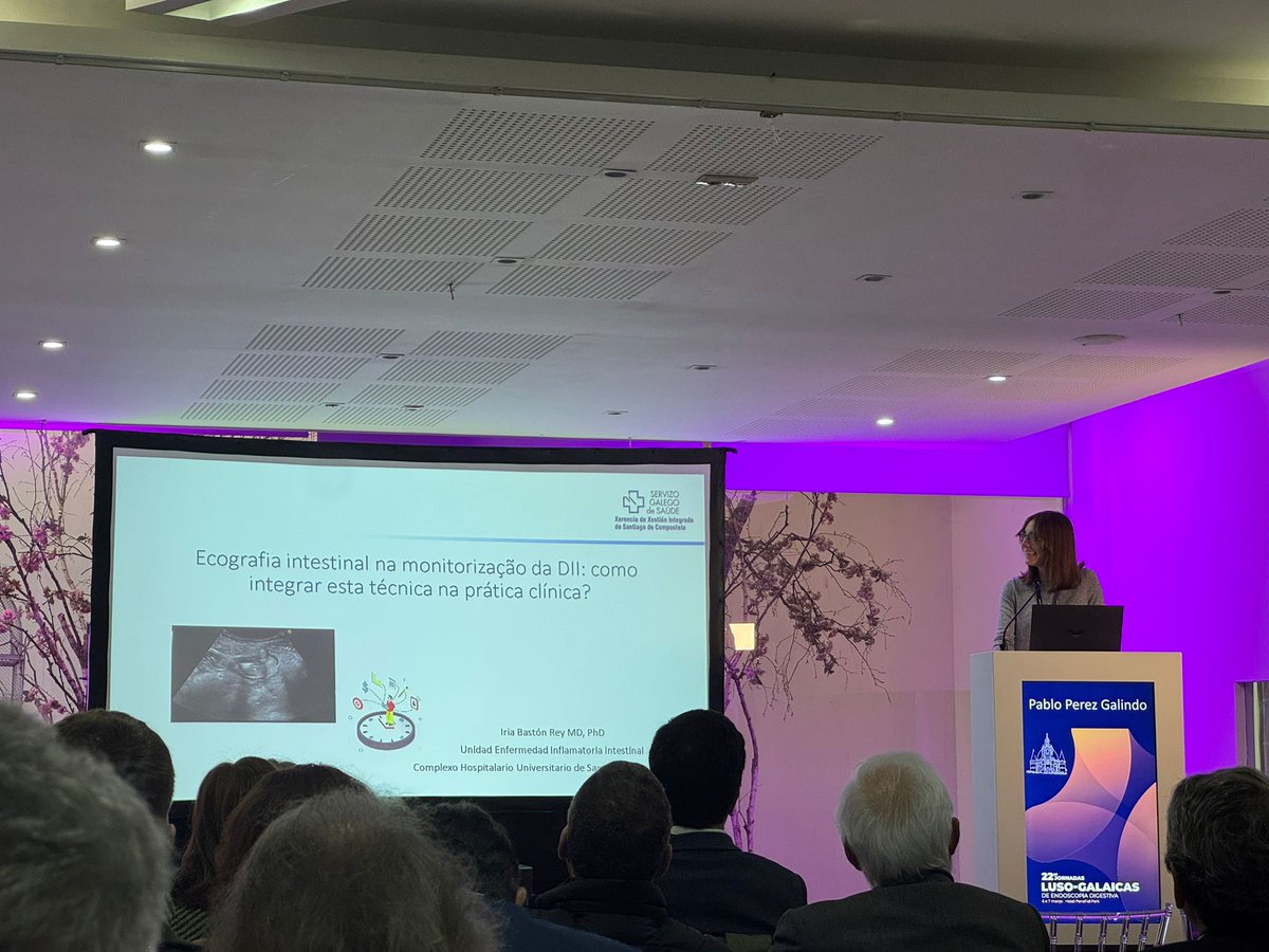 Gastro SANTIAGO tweet media