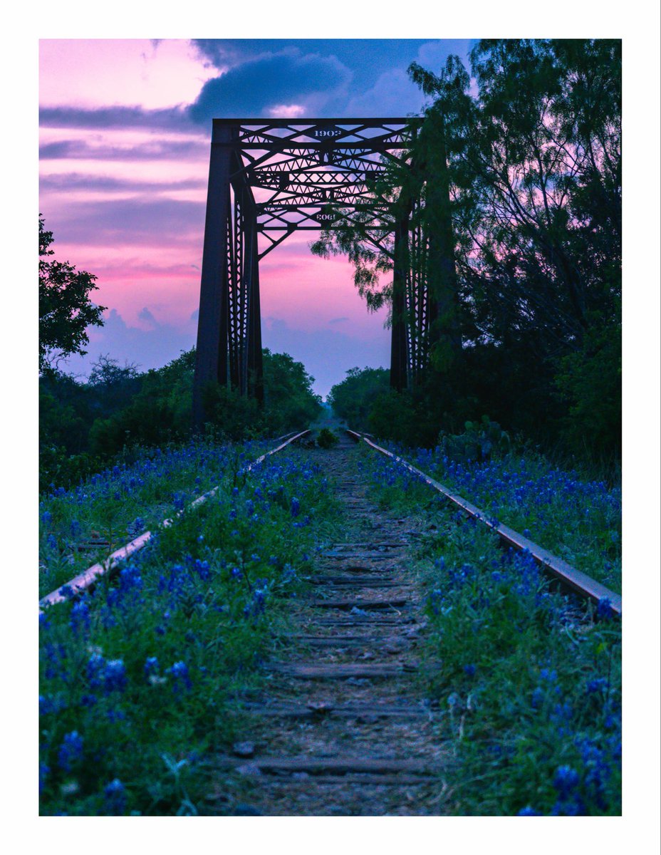 chrisseesworld's tweet photo. 15 days till Spring. Texas Hill Country. https://t.co/KY1rNtTMqW