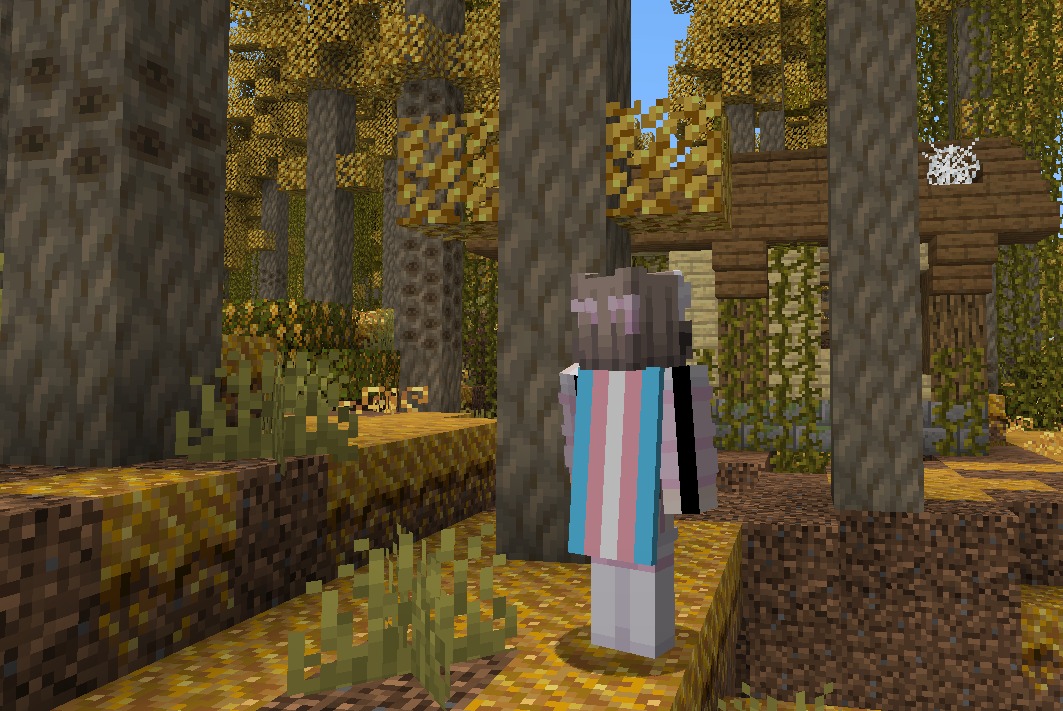 Yumikawaiigg's tweet photo. Vou começar a fazer livesinha de minecraft no server @truecraftofc . Olha que fofa minha skinzinha 🏳️‍⚧️ 

#mulhertrans 
#kawaiigirl #minecraft #minecrafters #serverminecraft https://t.co/gIl2JQBFTf