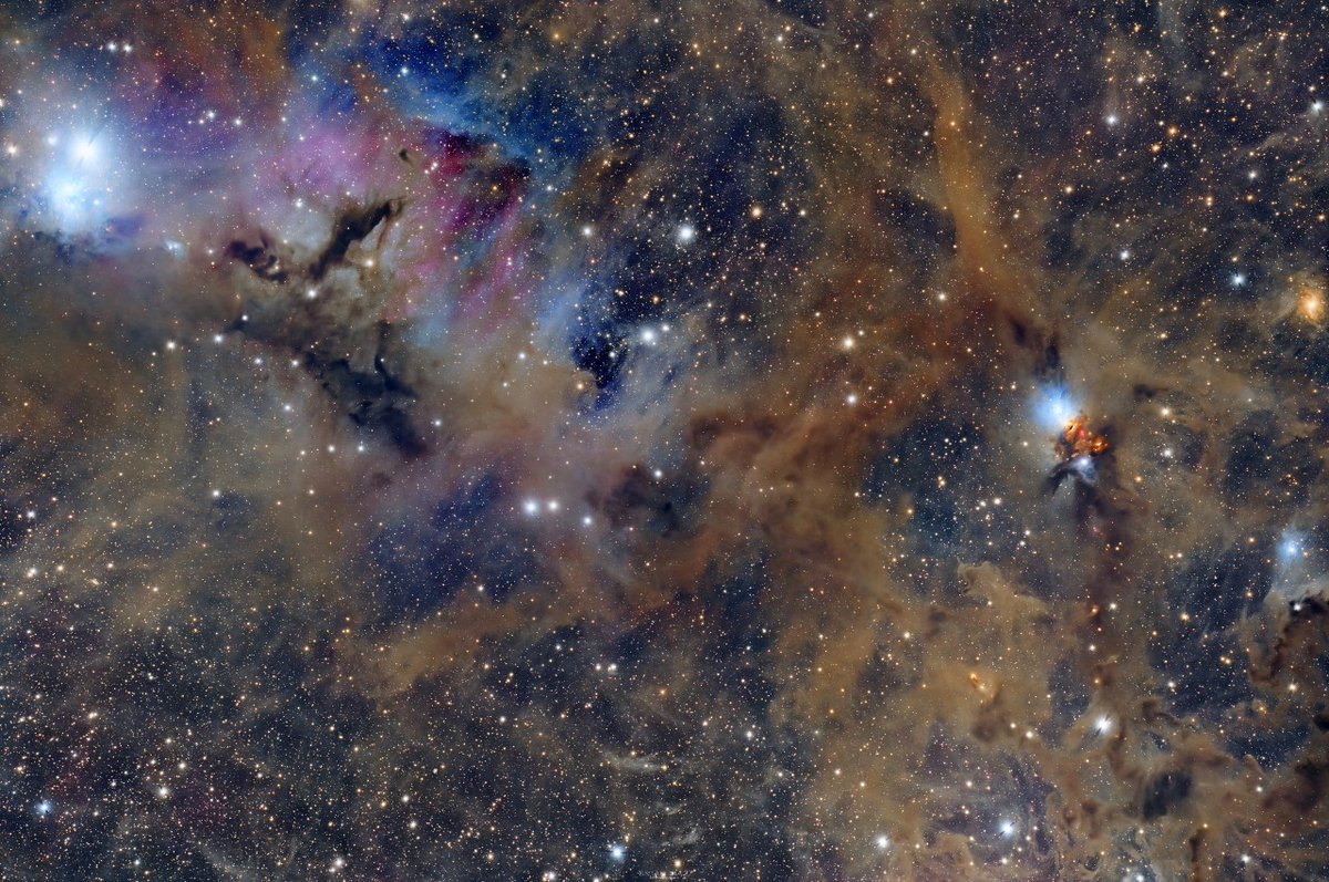 Insight Observatory tweet media