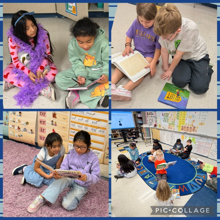 Rocky Point Elementary tweet media