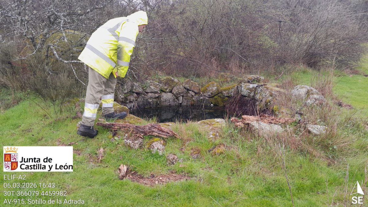 Naturaleza Castilla y León tweet media