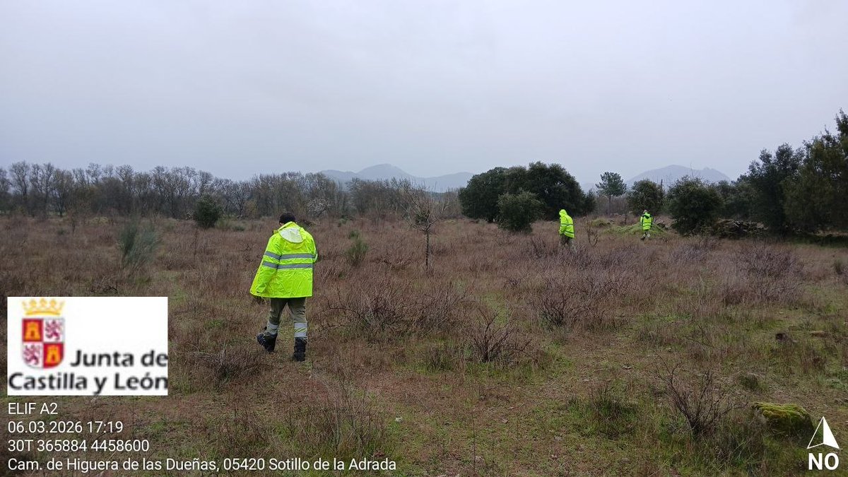 Naturaleza Castilla y León tweet media