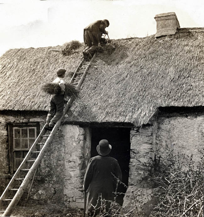 Alton Benes tweet media