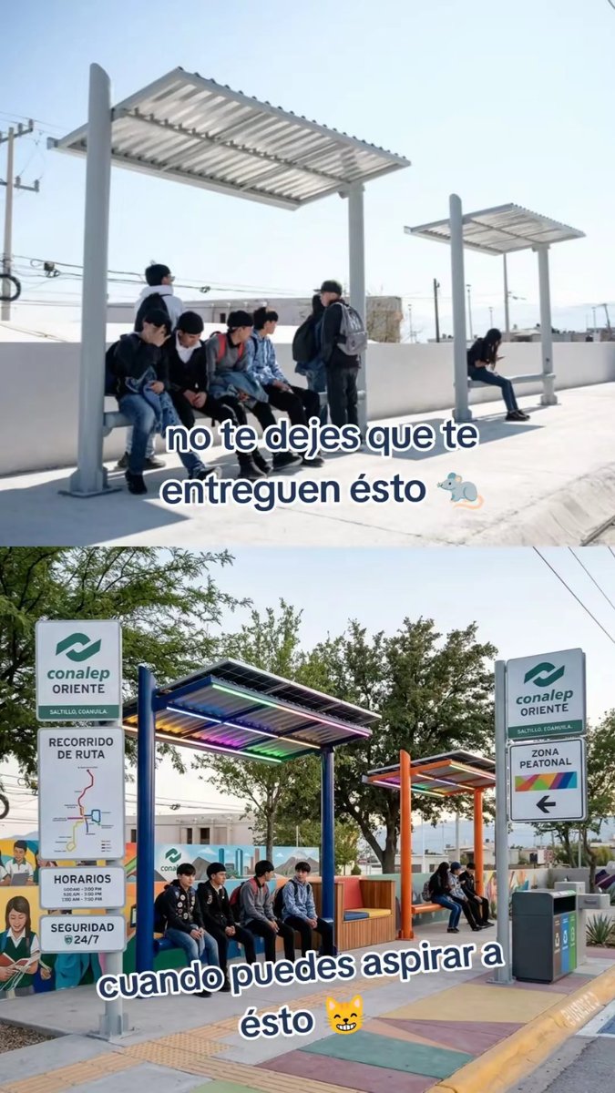 transporte digno saltillo tweet media