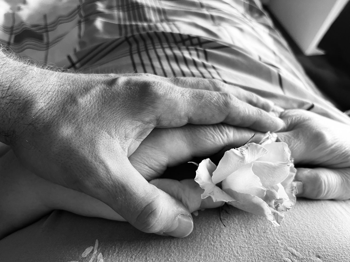 Ⓥ⚡️ tweet media