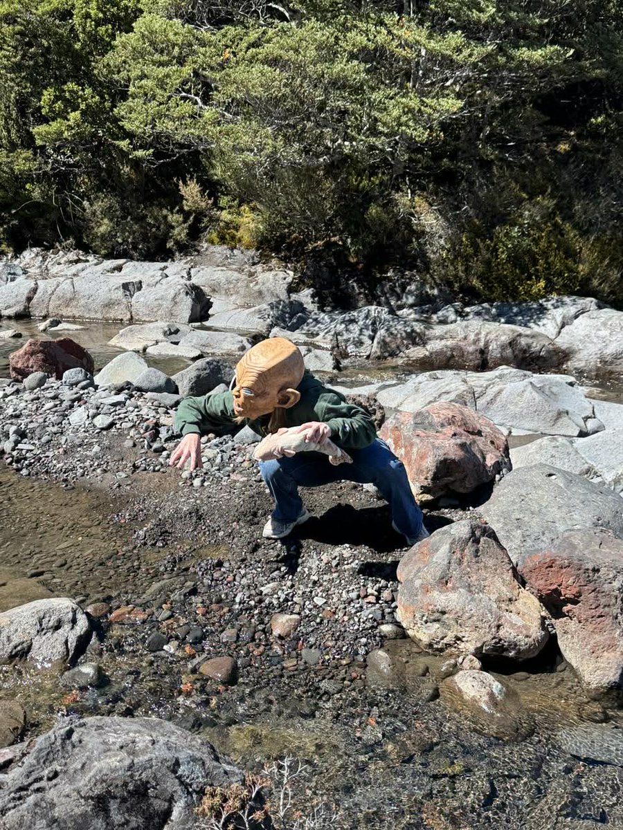 RedCarpetTourNZ's tweet image. We only wish to catch a fish, so juicy-sweet! 🐟 😋 

#redcarpettoursnz #familybusiness #lordoftherings #gollumspool #gollum #lordoftheringstours #lotr #lordoftheringslocations #middleearth #middleearthtours #newzealand #newzealandtours