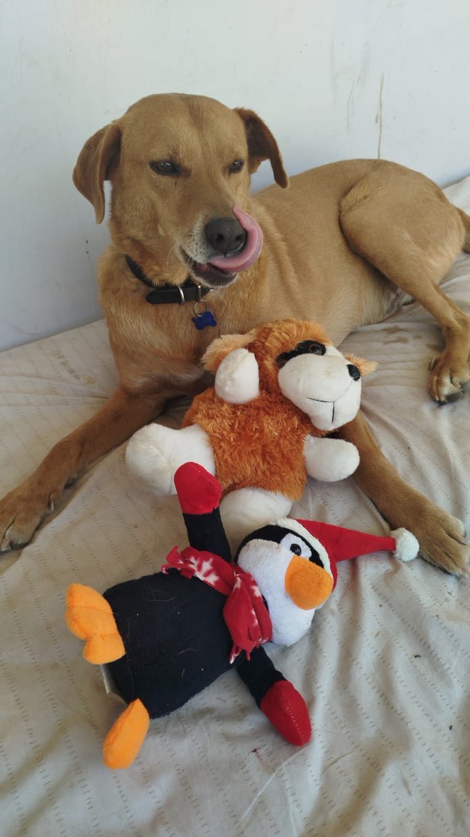 Ma. Daniela Yañez F tweet media