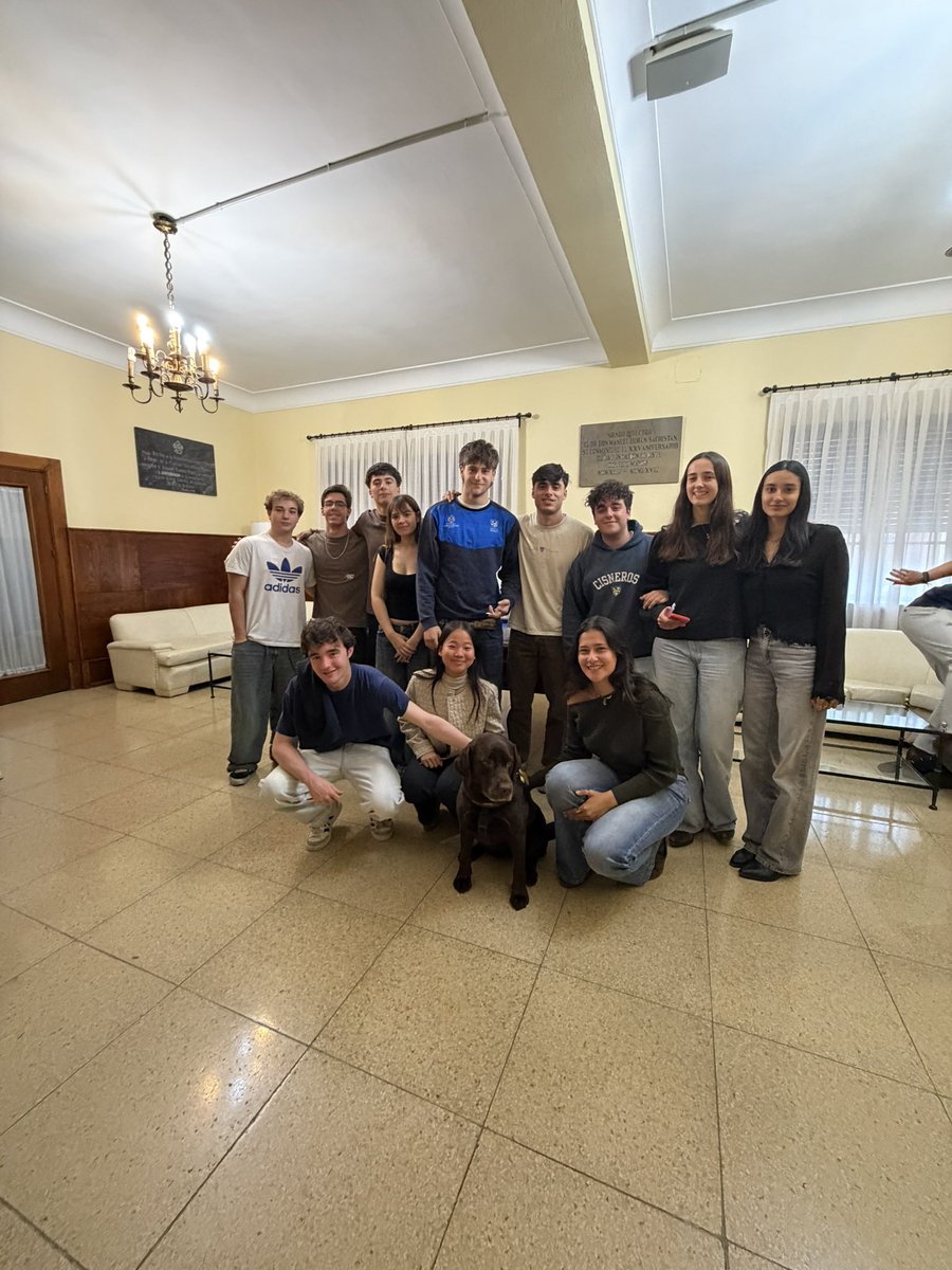 Equipo Médula tweet media