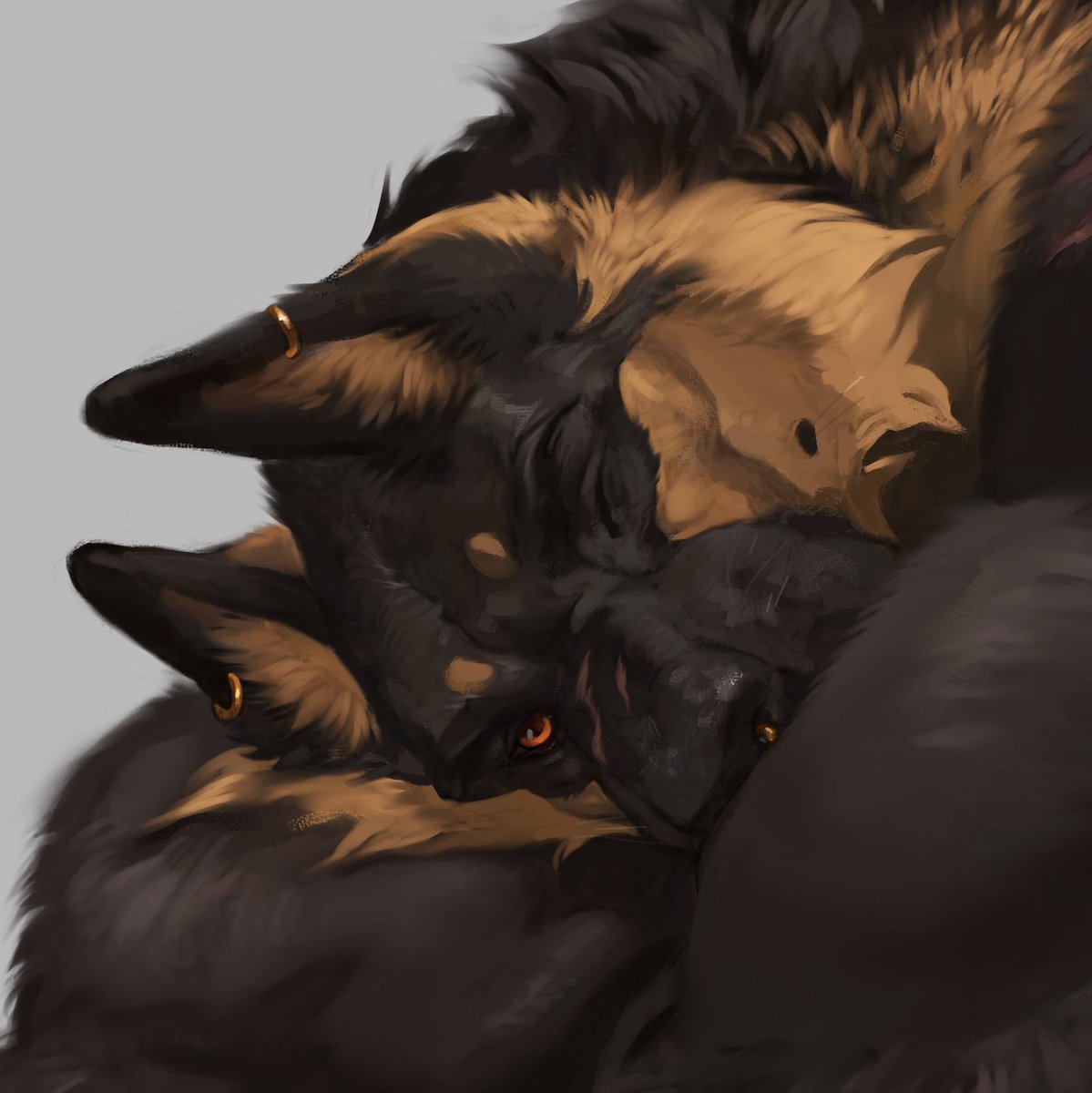 𝕵𝖆𝖈𝖔𝖇 tweet media